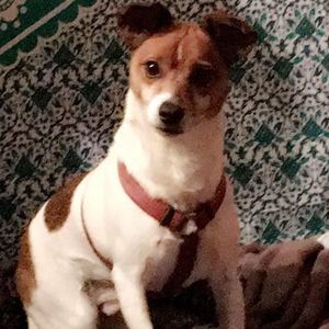 Meet your Posher, Jason